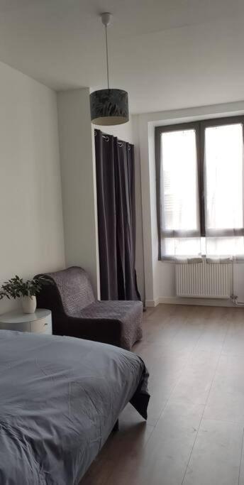 Logement 5 Personnes Proche Cv Et Parking Prive Saint-Etienne (Loire) Exterior foto
