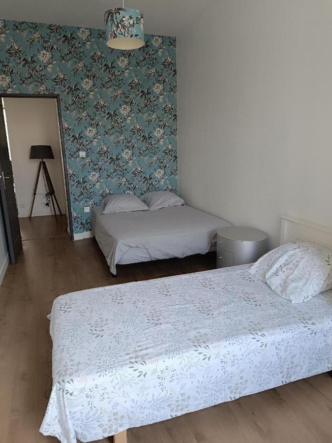 Logement 5 Personnes Proche Cv Et Parking Prive Saint-Etienne (Loire) Exterior foto